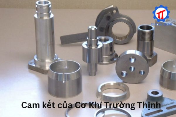 Truong Thinh Mechanical's Commitments
