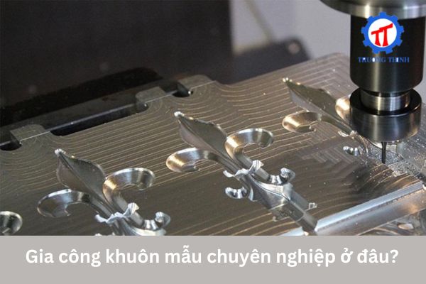 Where to Find Professional Mold Processing?