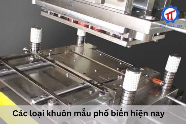 Common Types of Molds Today